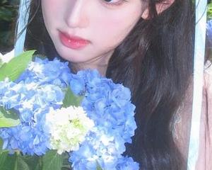 紫蔷薇来袭，怡子yiii精选，谁说只有玫瑰才能撩？